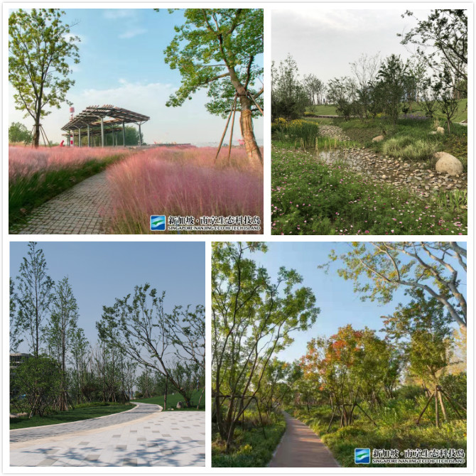 C:\Users\Administrator\Desktop\圖片\近圖拼接.jpg C:\Users\Administrator\Desktop\圖片\近圖拼接.jpg